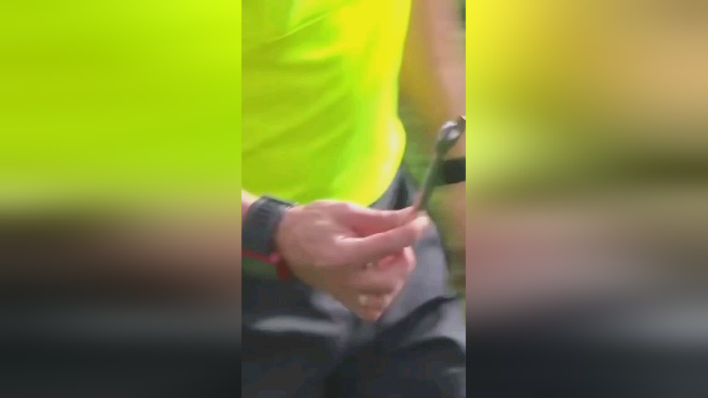 历史和雄